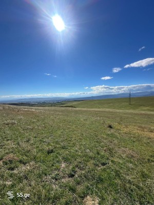 იყიდება მიწის ნაკვეთი ლილოში