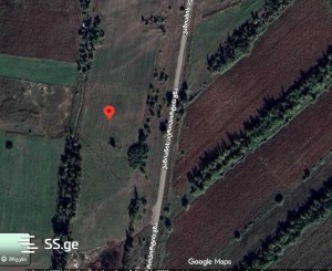 იყიდება მიწის ნაკვეთი ვაზიანში