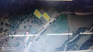 იყიდება მიწის ნაკვეთი დოლში