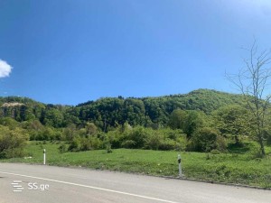 იყიდება მიწის ნაკვეთი ღადიშში