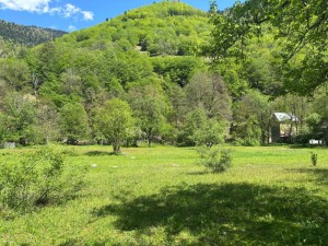 იყიდება მიწის ნაკვეთი მესტიაში