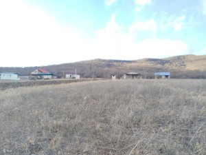 იყიდება მიწის ნაკვეთი ჩუბინიანთკარში