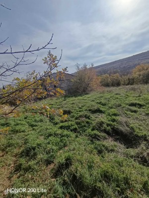 იყიდება მიწის ნაკვეთი