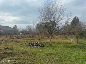 იყიდება მიწის ნაკვეთი ქალაში