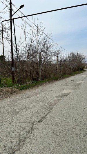 🌳 იყიდება არასასოფლო-სამეურნეო მიწის ნაკვეთი საქობოში